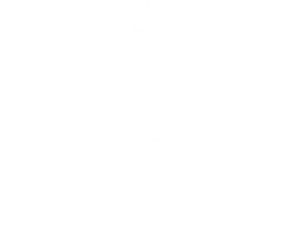 Stella Artois